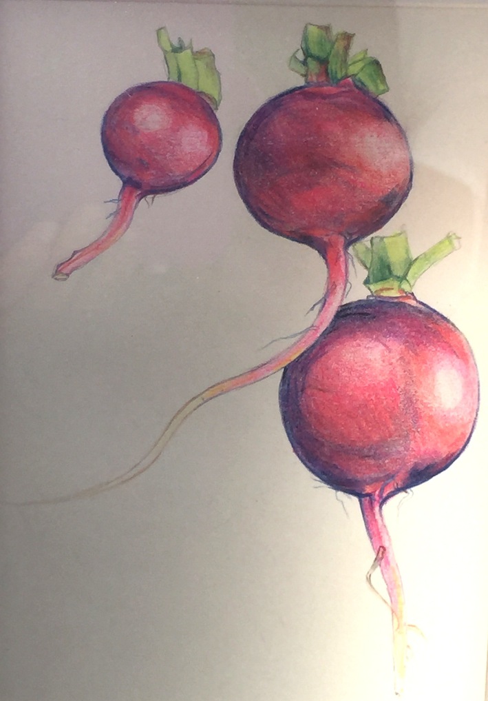 Virginia Burdon | Radishes | McAtamney Gallery | Geraldine